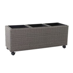 Trampa Ratones Adhesiva 19x14 cm. 2 unidades