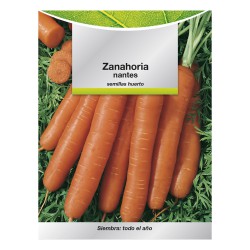 Semillas Zanahoria Nantes Temprana (7 Gramos). Semillas Verduras, Horticultura, Horticola, Semillas Huerto.
